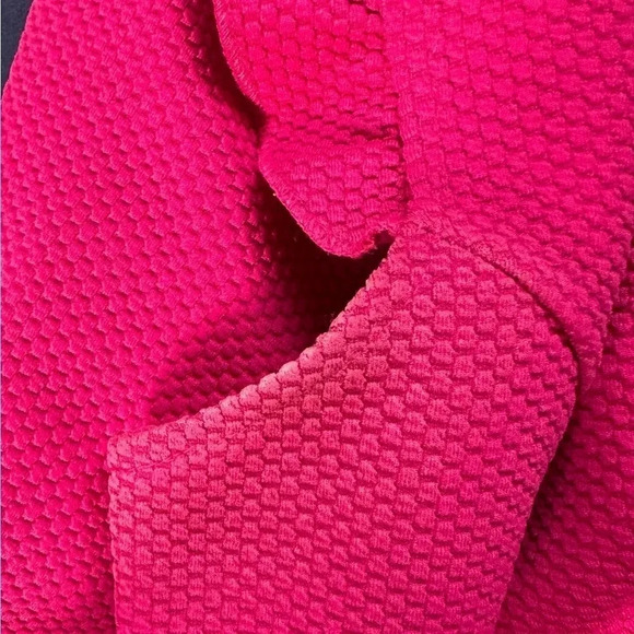 Anthropologie Tabitha Cherie Dress w/ Pleated Details - Picture 9 of 15